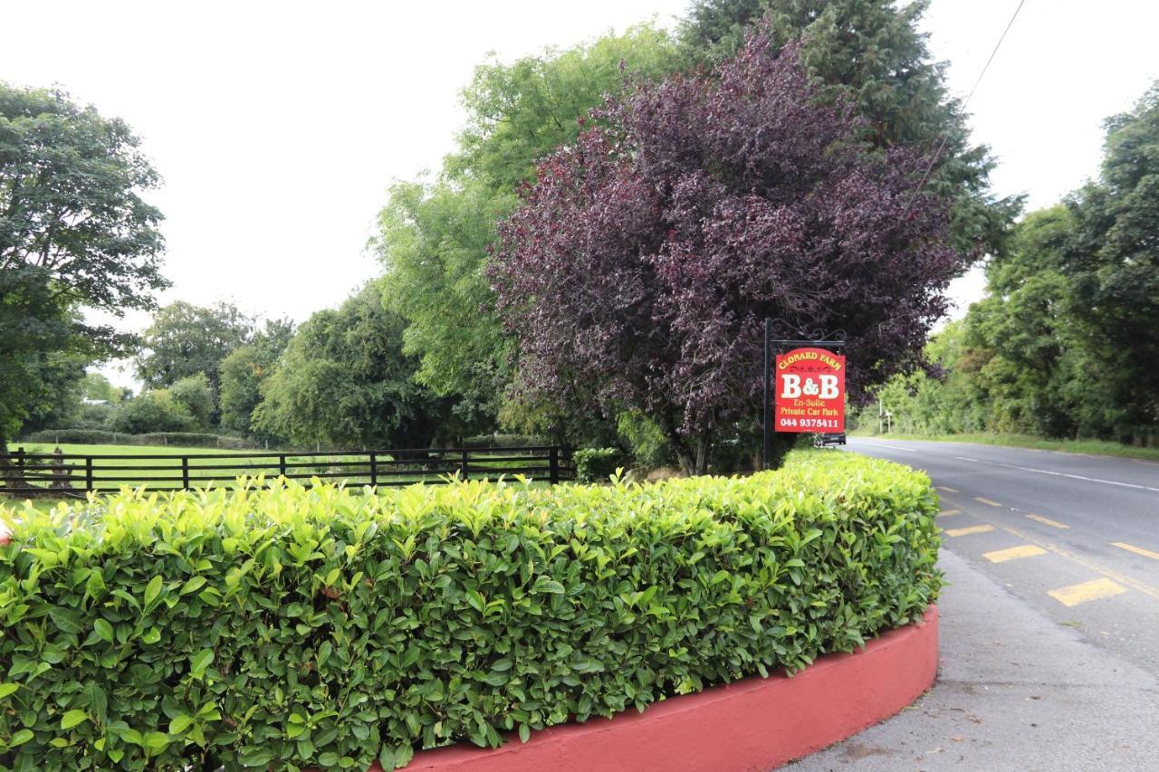 Clonard Farm B&B Exteriér fotografie